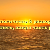 Морфологический разбор слова «коллег», какая часть речи