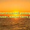 Морфологический разбор слова «конька», какая часть речи