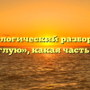 Морфологический разбор слова «круглую», какая часть речи