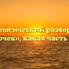 Морфологический разбор слова «кусочек», какая часть речи