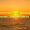 Морфологический разбор слова «любила», какая часть речи