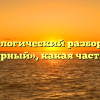 Морфологический разбор слова «малярный», какая часть речи