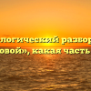 Морфологический разбор слова «меховой», какая часть речи