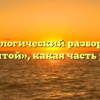 Морфологический разбор слова «мечтой», какая часть речи