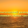 Морфологический разбор слова «мышеловка», какая часть речи