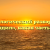 Морфологический разбор слова «нарядил», какая часть речи