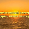 Морфологический разбор слова «натура», какая часть речи