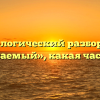 Морфологический разбор слова «несгибаемый», какая часть речи