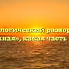 Морфологический разбор слова «нужная», какая часть речи