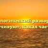 Морфологический разбор слова «обманчивую», какая часть речи