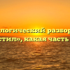 Морфологический разбор слова «опустил», какая часть речи