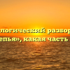 Морфологический разбор слова «отрепья», какая часть речи
