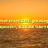 Морфологический разбор слова «передний», какая часть речи