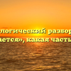 Морфологический разбор слова «питается», какая часть речи