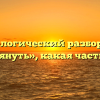 Морфологический разбор слова «подтянуть», какая часть речи