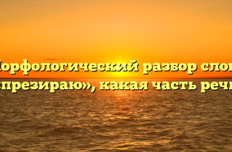 Морфологический разбор слова «презираю», какая часть речи
