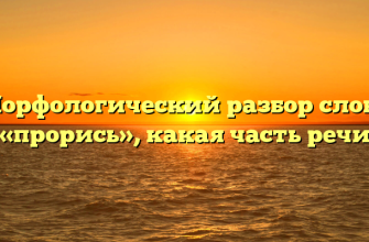 Морфологический разбор слова «прорись», какая часть речи