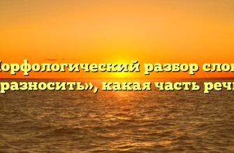 Морфологический разбор слова «разносить», какая часть речи