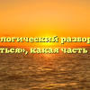 Морфологический разбор слова «рдеться», какая часть речи