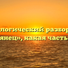 Морфологический разбор слова «румянец», какая часть речи