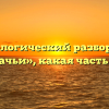 Морфологический разбор слова «рыбачьи», какая часть речи