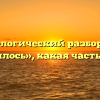 Морфологический разбор слова «садилось», какая часть речи