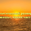Морфологический разбор слова «стрижешь», какая часть речи