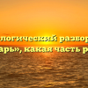 Морфологический разбор слова «тварь», какая часть речи