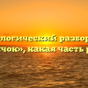 Морфологический разбор слова «толчок», какая часть речи