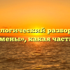 Морфологический разбор слова «туркмены», какая часть речи