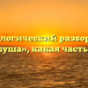 Морфологический разбор слова «хохлуша», какая часть речи