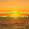 Морфологический разбор слова «шестом», какая часть речи