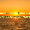 Морфологический разбор слова «шляхтянка», какая часть речи