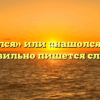 «Нашёлся» или «нашолся» — как правильно пишется слово?