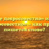 «Не добросовестно» или «недобросовестно» — как правильно пишется слово?
