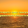 «Не существует» или «несуществует» — как правильно пишется слово?