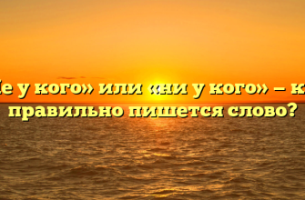 «Не у кого» или «ни у кого» — как правильно пишется слово?