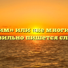 «Немногим» или «не многим» — как правильно пишется слово?