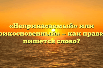 «Неприкасаемый» или «неприкосновенный» — как правильно пишется слово?
