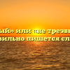 «Нетрезвый» или «не трезвый» — как правильно пишется слово?