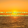 «Пригож» или «пригожь» — как правильно пишется слово?