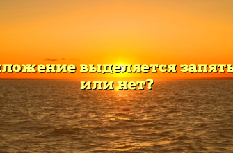 Приложение выделяется запятыми или нет?