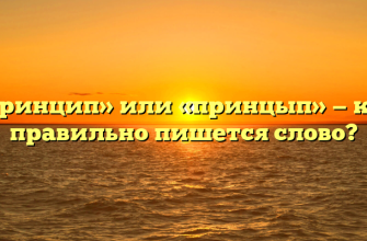 «Принцип» или «принцып» — как правильно пишется слово?