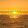 Происхождение и значение фразеологизма «держать в черном теле»