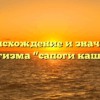 Происхождение и значение фразеологизма “сапоги каши просят”