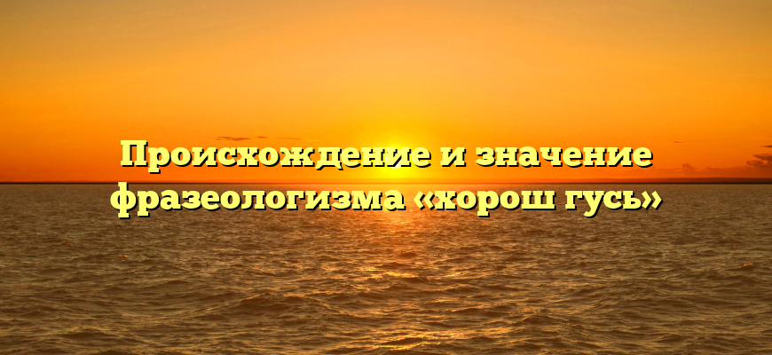 Происхождение и значение фразеологизма «хорош гусь»