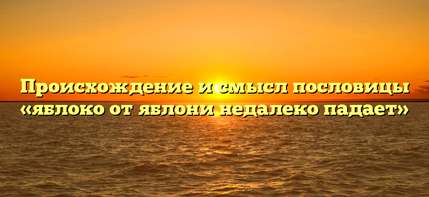 Происхождение и смысл пословицы «яблоко от яблони недалеко падает»