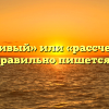 «Расчетливый» или «рассчетливый» — как правильно пишется слово?