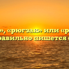 «Рюкзак», «рюгзак» или «рюкзаг» — как правильно пишется слово?