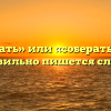 «Собирать» или «соберать» — как правильно пишется слово?